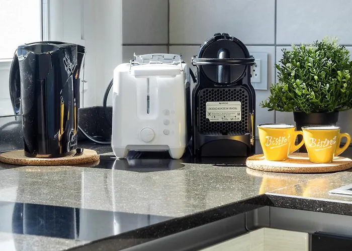 View And Relaxation, 로카르노