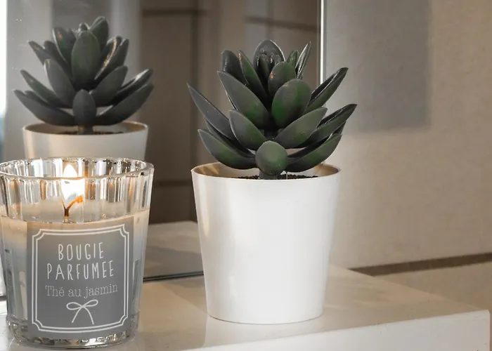 View And Relaxation, Lejlighed Locarno